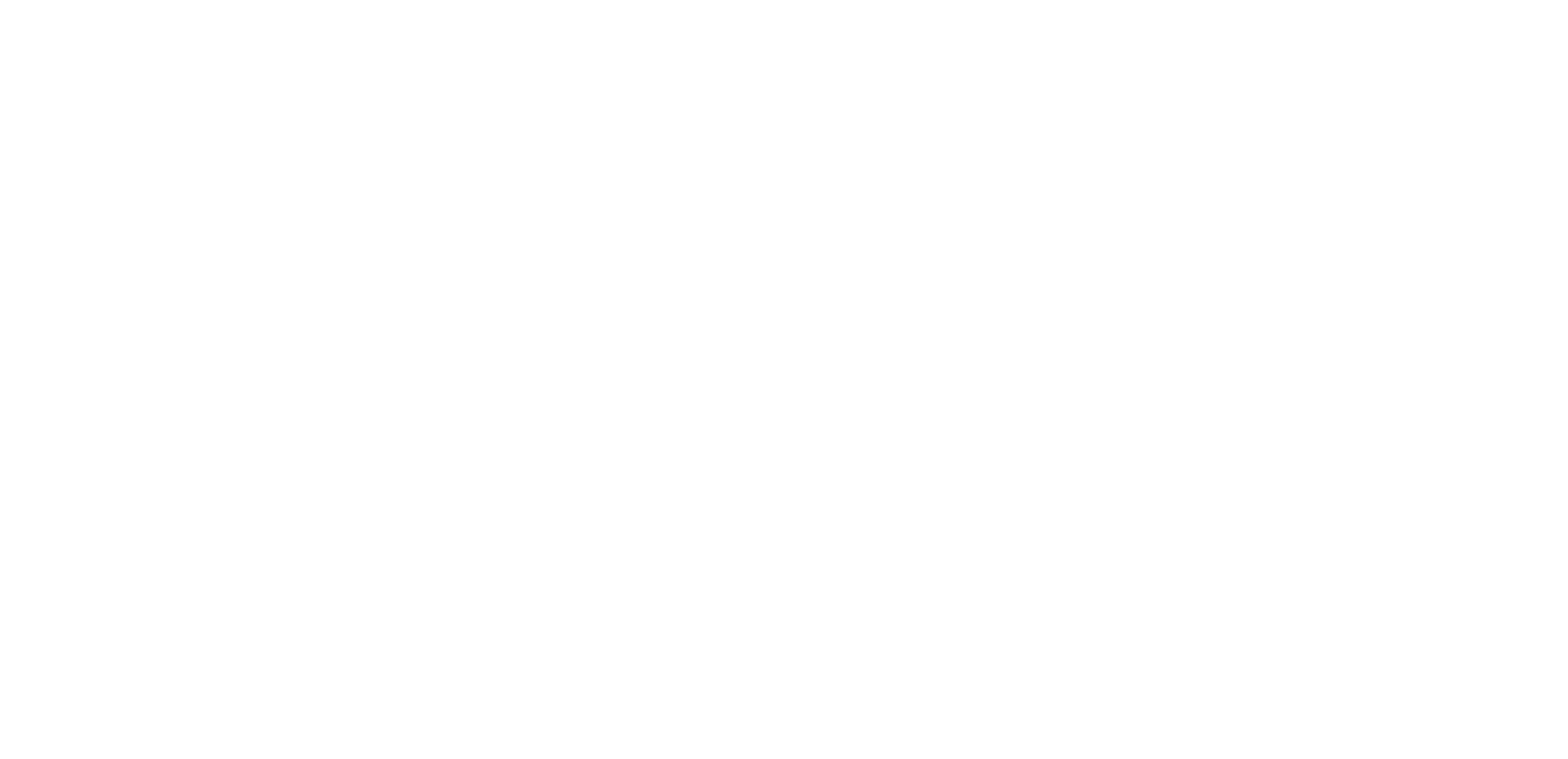 Veo_Brand_Logo_White